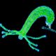 Illustration for article titled This Animal Is Almost Impossible to Kill
